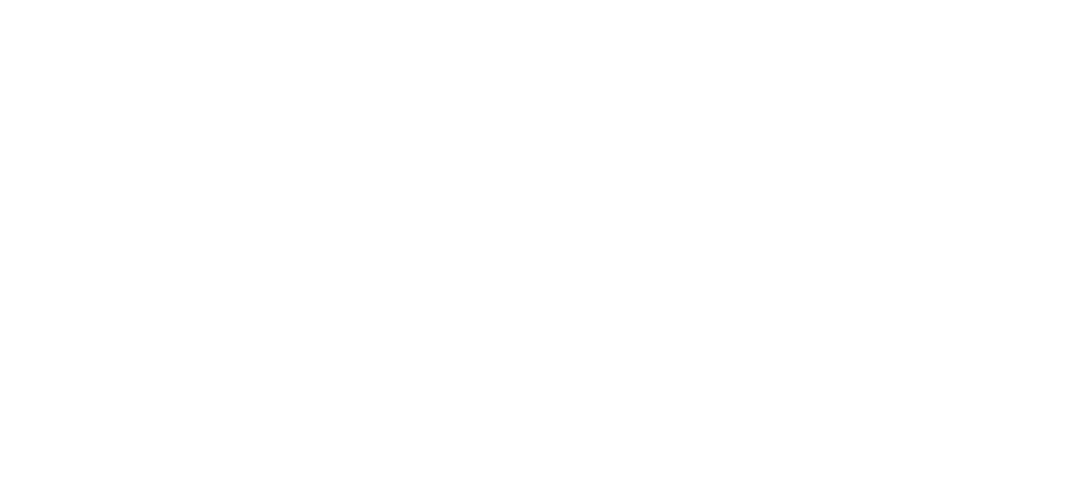 Dr Casey Edgar 12 Smile Solutions logo