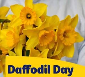 Daffodil Day