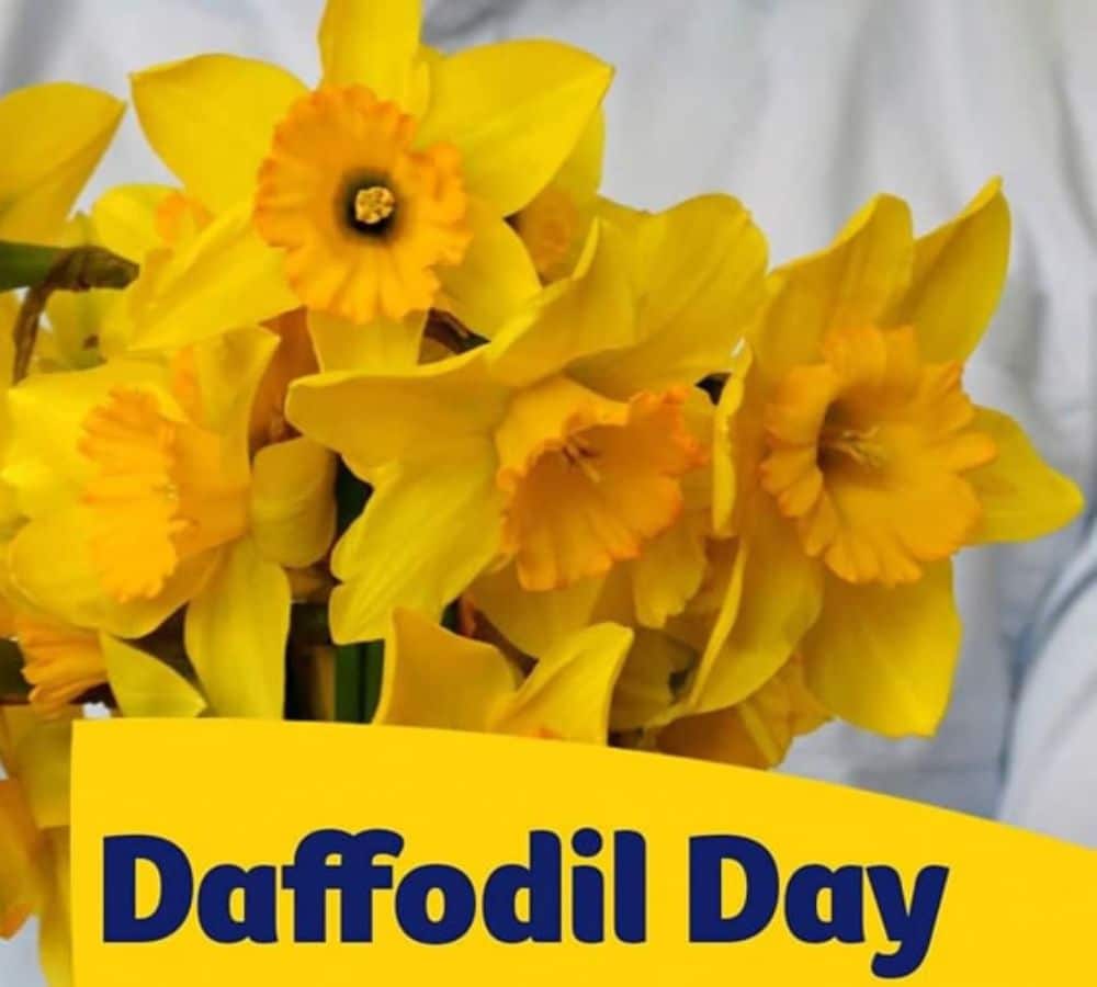 Daffodil Day