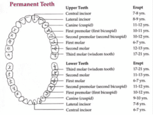 suitable candidate dental sealants