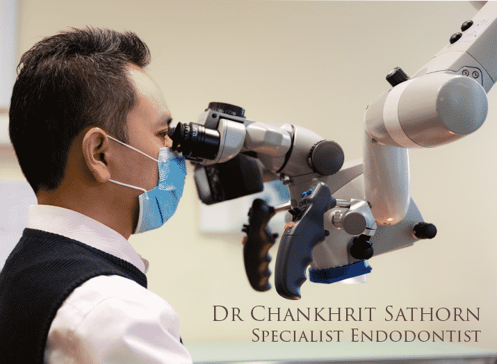 specialist endodontist