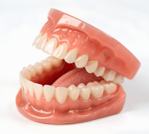 Realistic model of human dentures